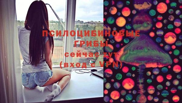 хмурый Бронницы
