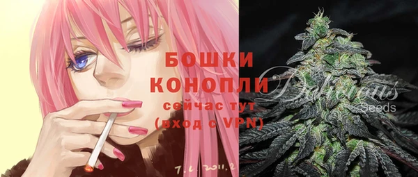 скорость Бородино