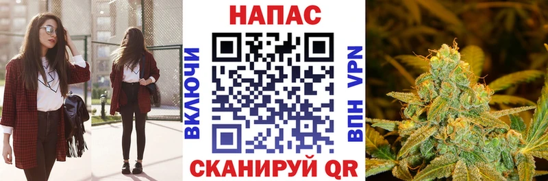 Купить закладки  Горнозаводск  Бошки марихуана план 